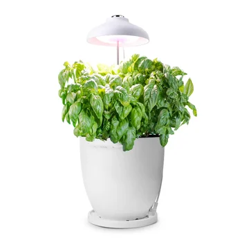 auga šviesos lempos aukštis reguliuojamas patalpų sodo augalų šviesa gėlių scenos augalai auga su išmaniuoju gėlių vazonas