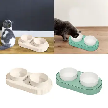 Pet Double Bowl Puppy Bowls Kačių ėdalo ir vandens tiektuvas, padidintas kambarinėms katėms